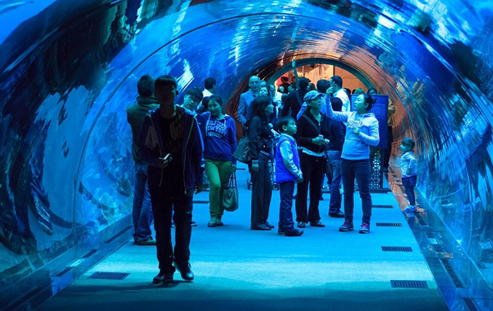 Hurghada Grand Aquarium - Египет
